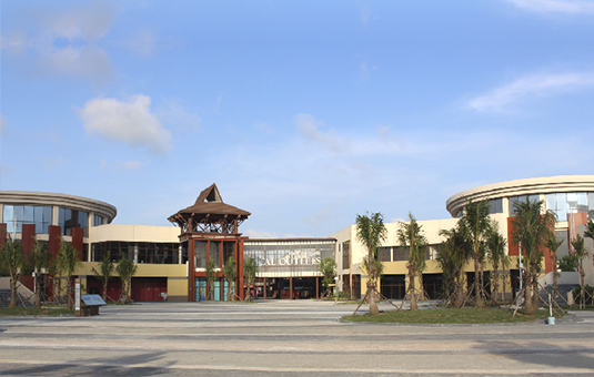 Image Caption